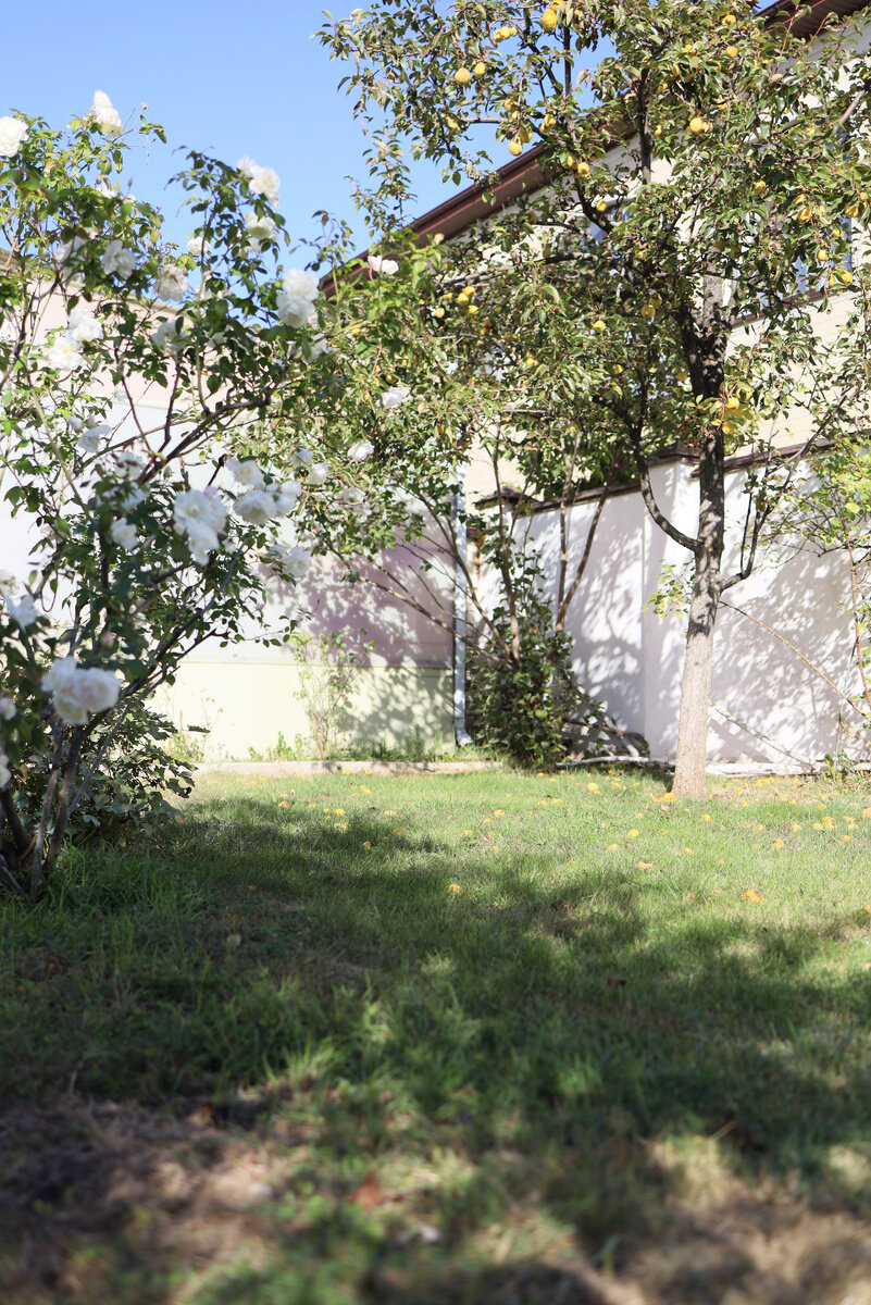 высокий контраст между светом и тенью