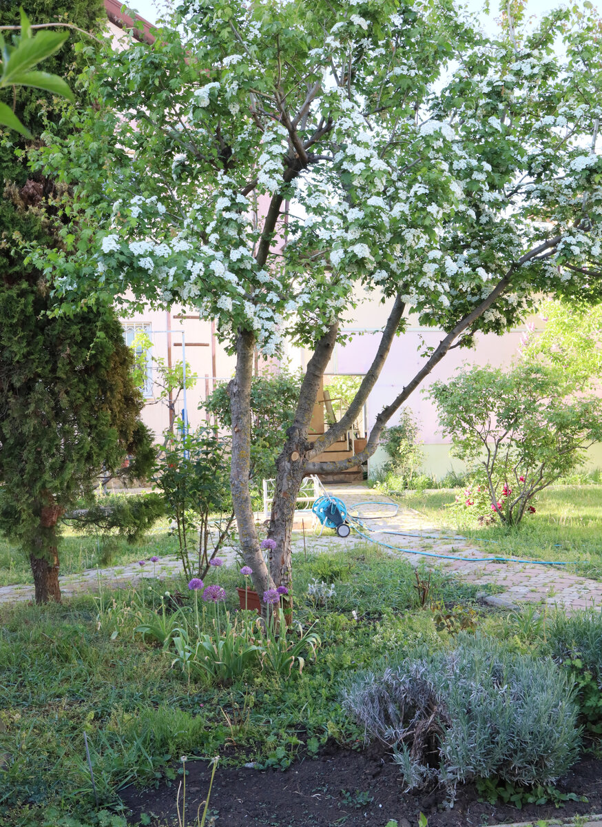 тени длинные, свет рассеяный