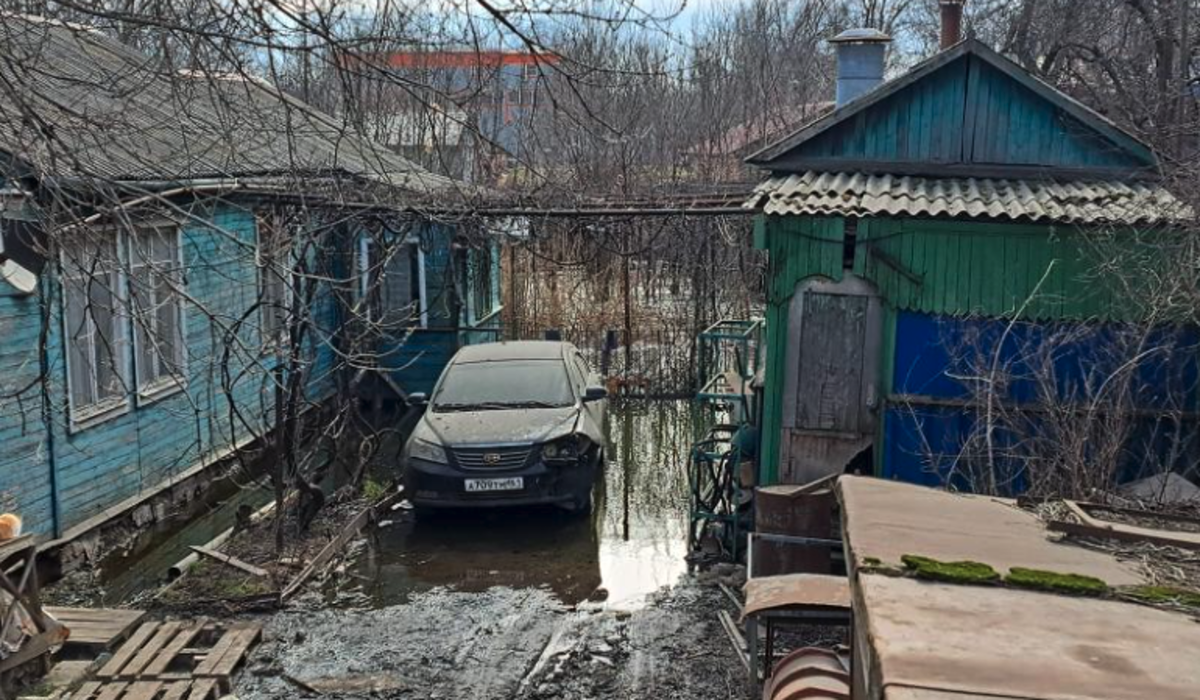    Фото: Блокнот Ростов-на-Дону