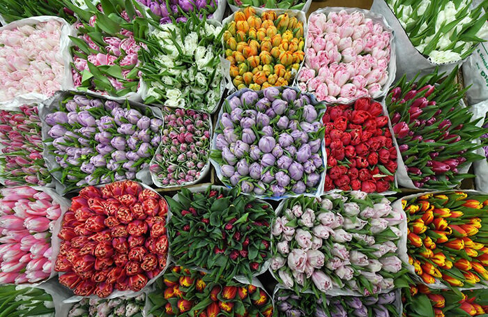    Сергей Киселев/АГН «Москва»