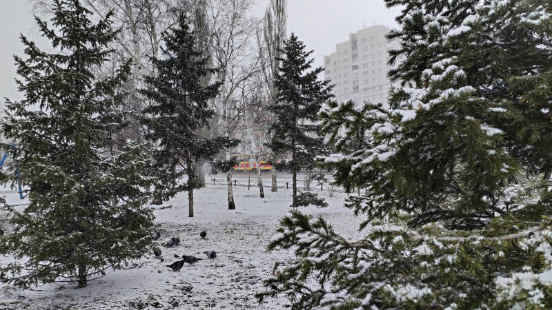     Апрельский снег. altapress.ru