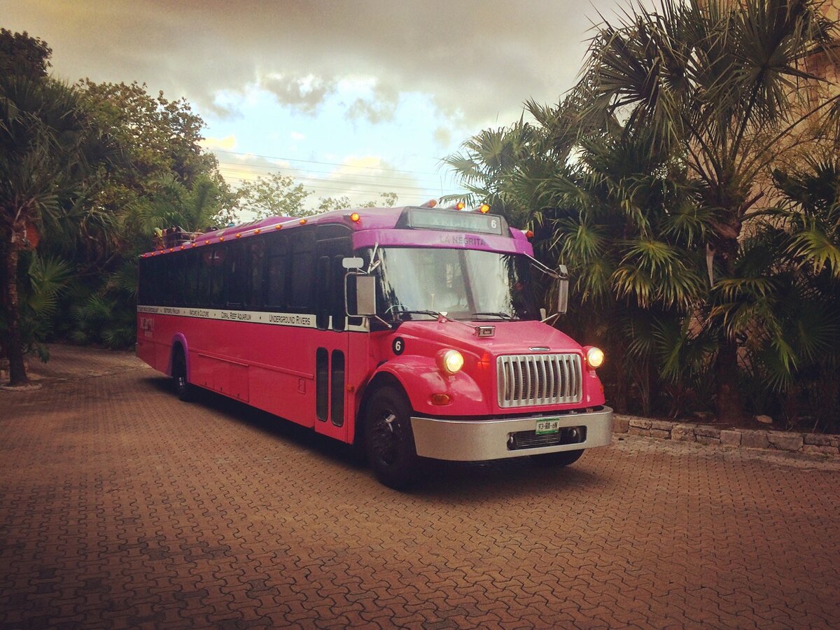 На таких автобусах туристов привозят в парк.