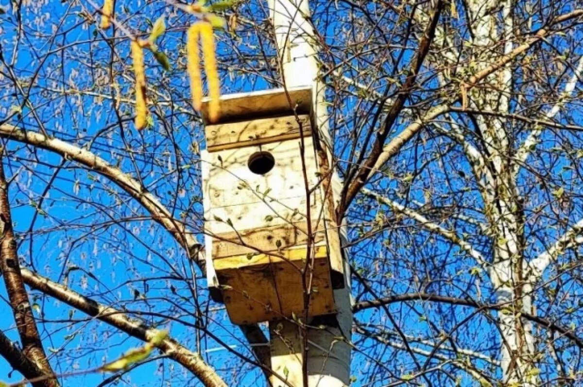    Владивосток побил уже второй температурный рекорд за апрель