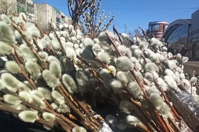    Как нужно правильно встречать Вербное воскресенье?