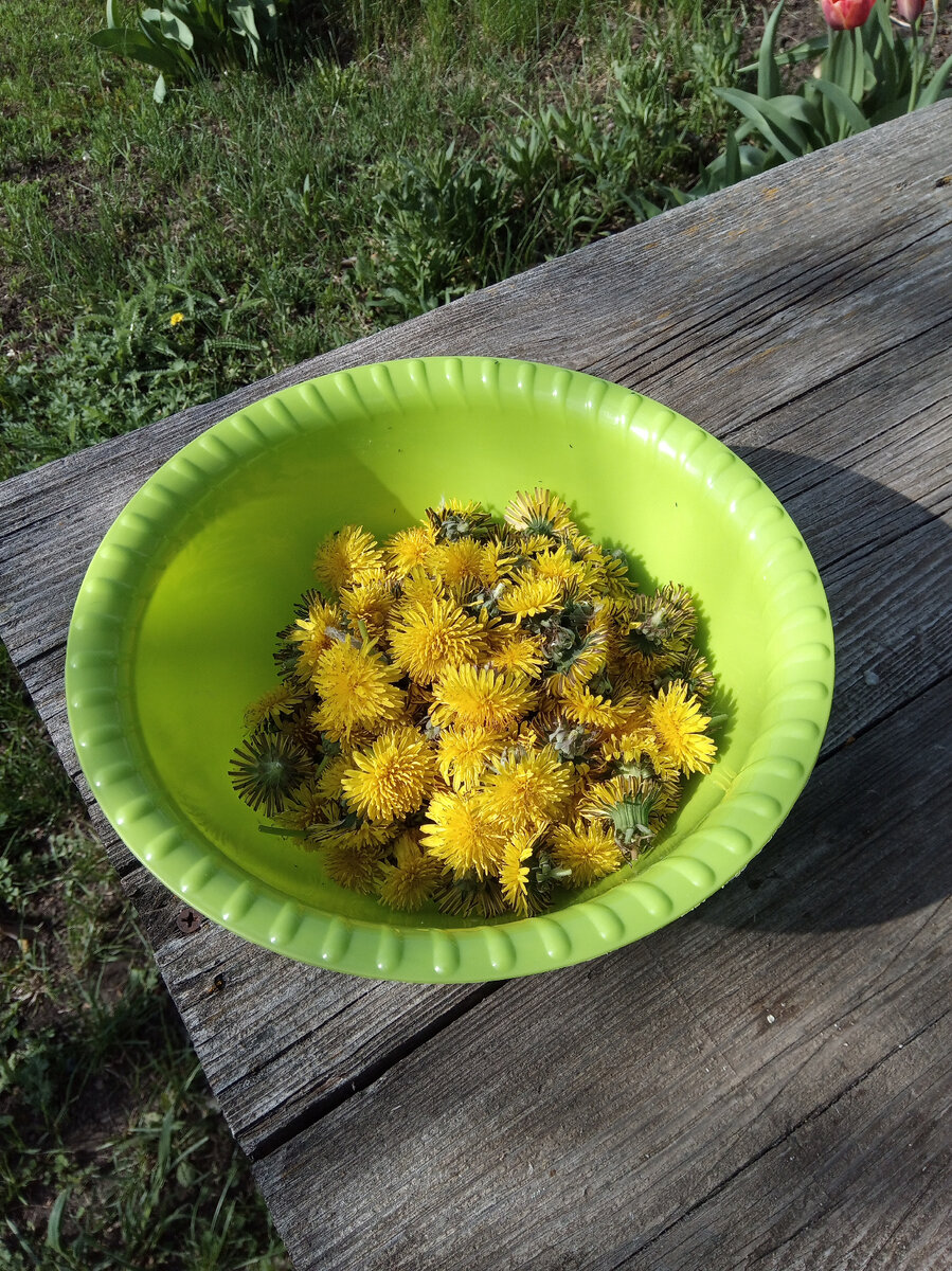 Набрала одуванчики для сиропа.