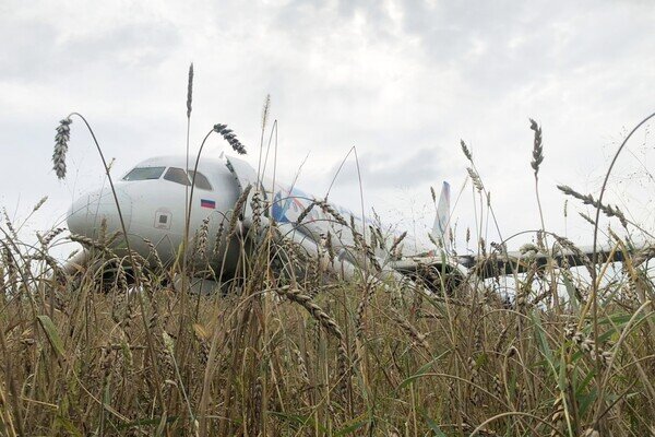На месте аварийной посадки самолета А320 авиакомпании «Уральские авиалинии» в Новосибирской области, 12 сентября 2023 года / Владимир Николаев/РИА Новости