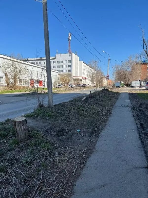     Источник: Город55