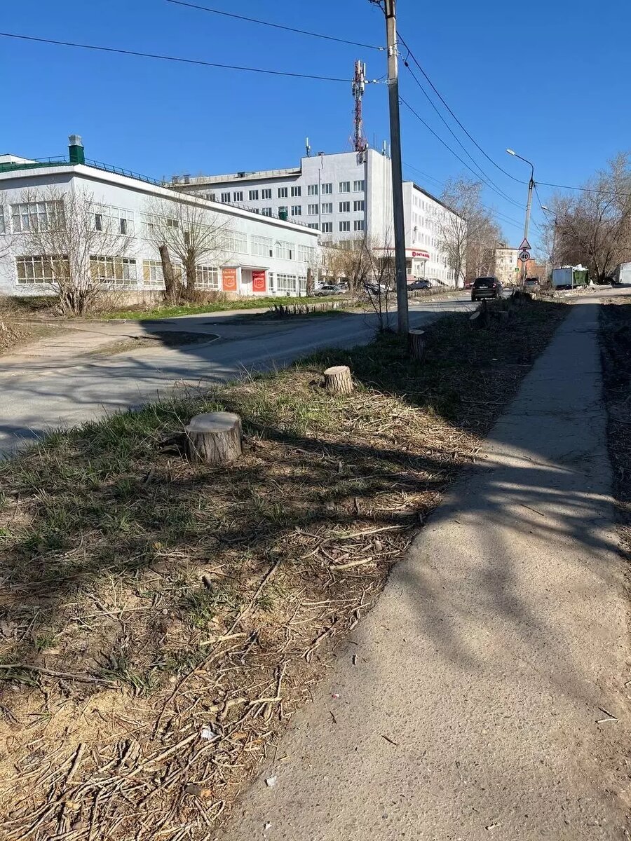     Источник: Город55