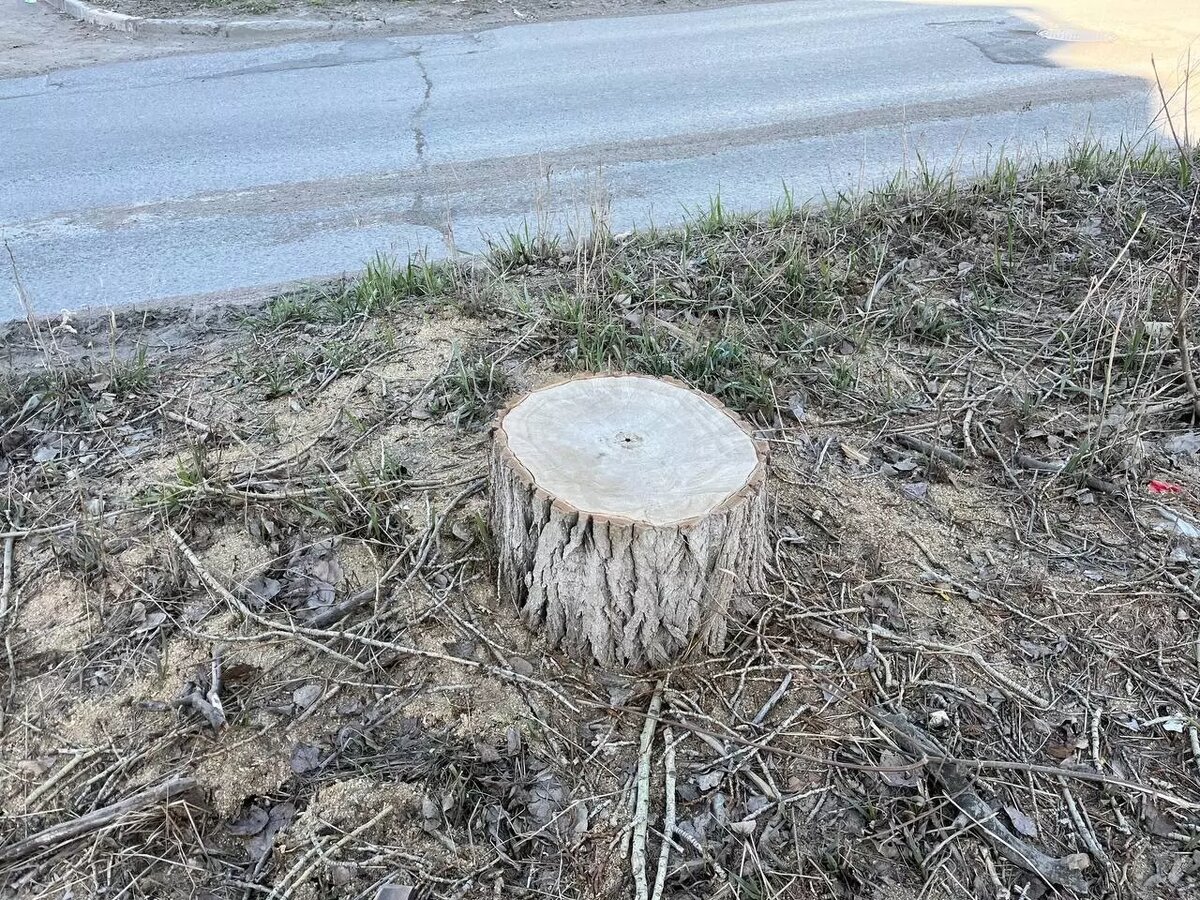     Источник: Город55