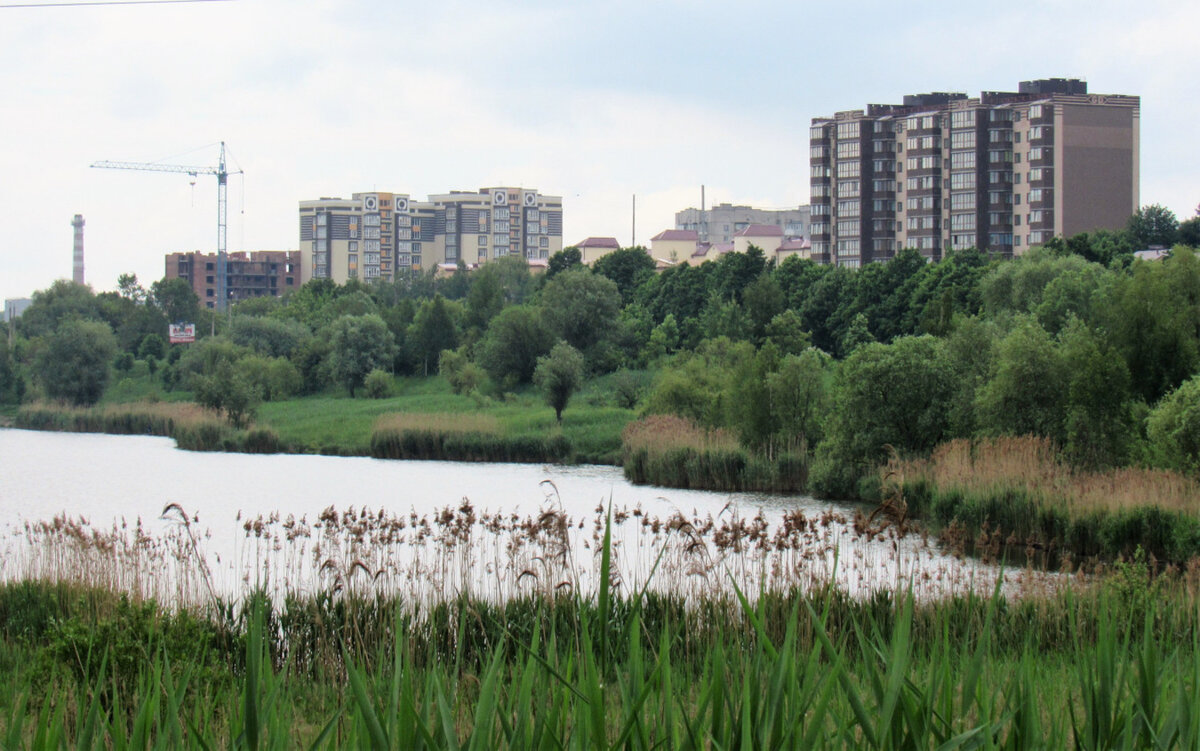 Выкуп участка у администрации