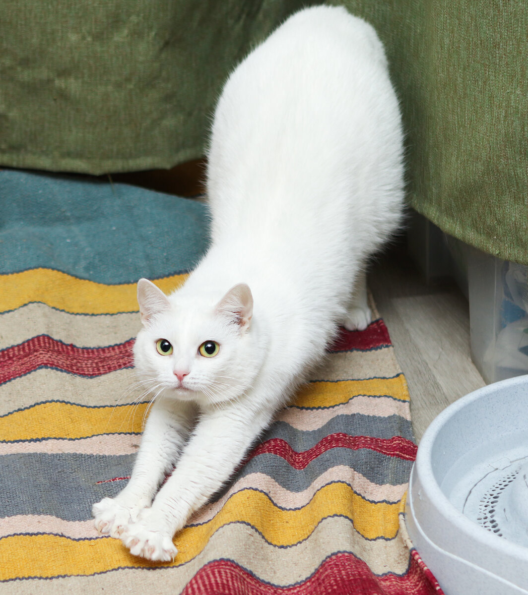 Ничего страшного в моем резюме нет. Одни только плюсики