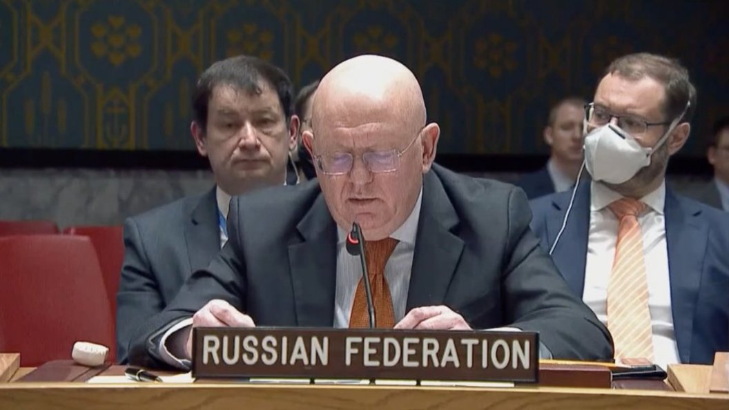    MFA Russia/Globallookpress