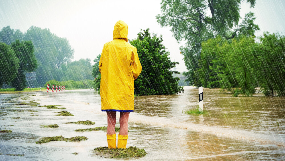    Фото: Shutterstock