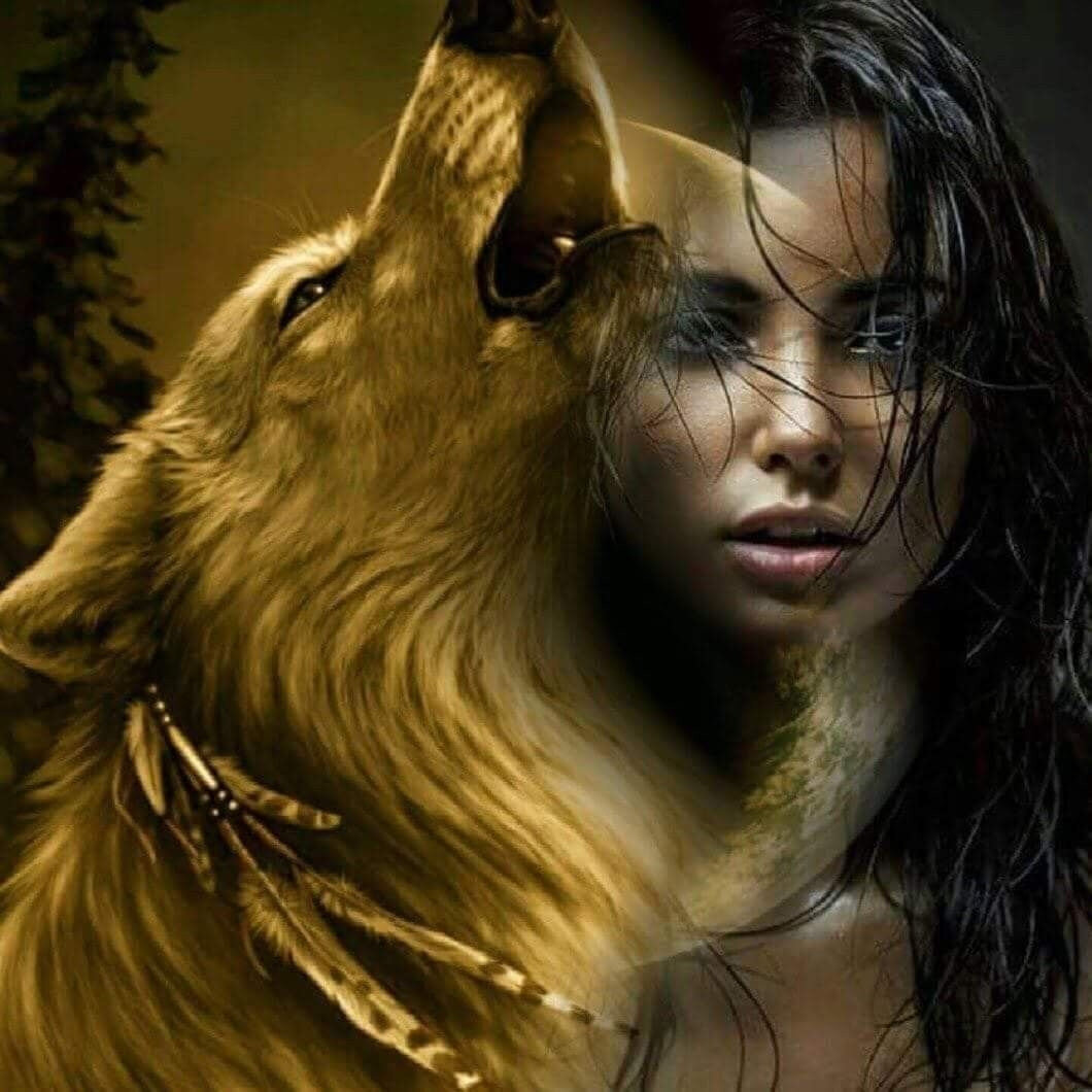 Фото из свободных источников.