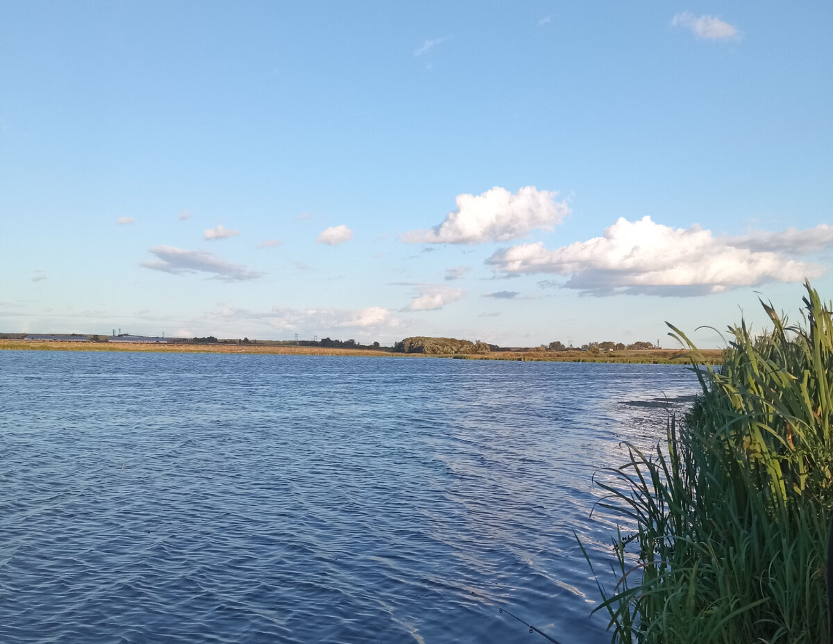 Просто природа ( архив автора )