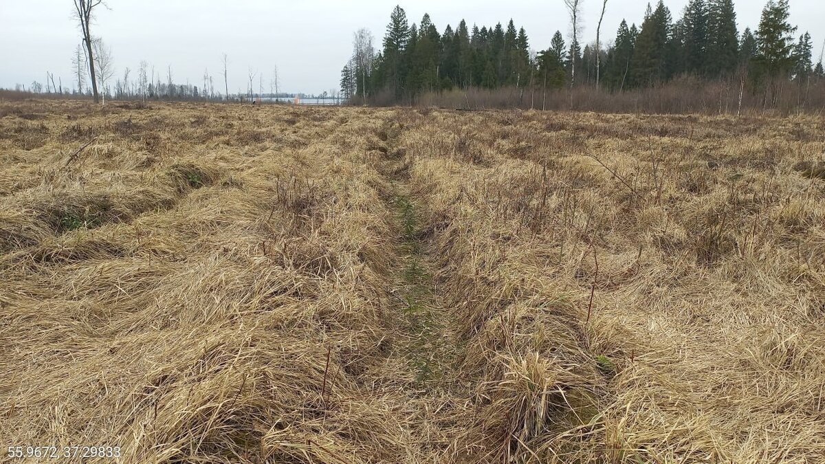 Фото: © Алексей Ярошенко