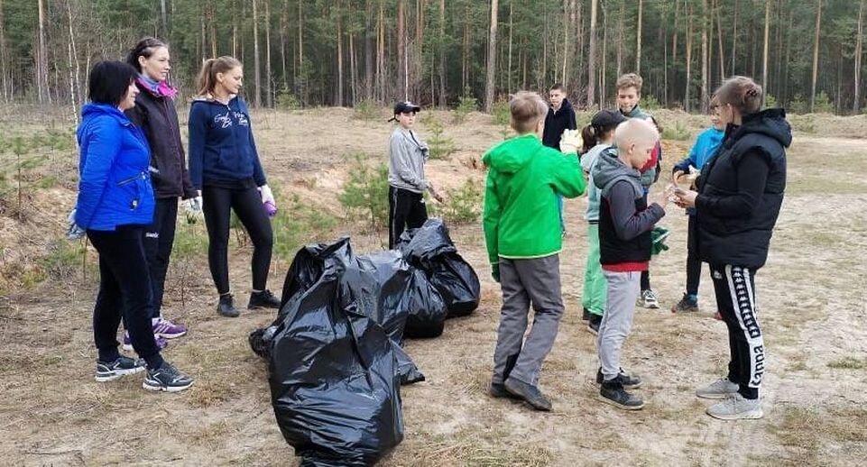    Комитет лесного хозяйства Московской области