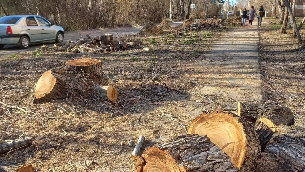     Автор: паблик «Наш город Омск» в ВК