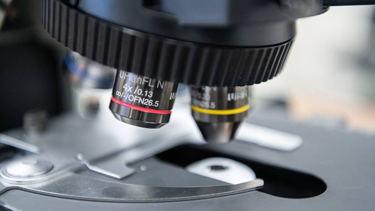    Фото: Пресс-служба мэра и правительства Москвы / Максим Мишин