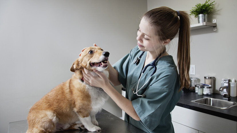 фото с сайта russian.rt.com
