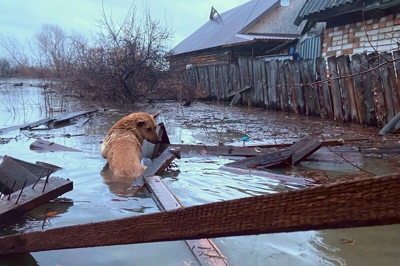 Новости кургана свежие события