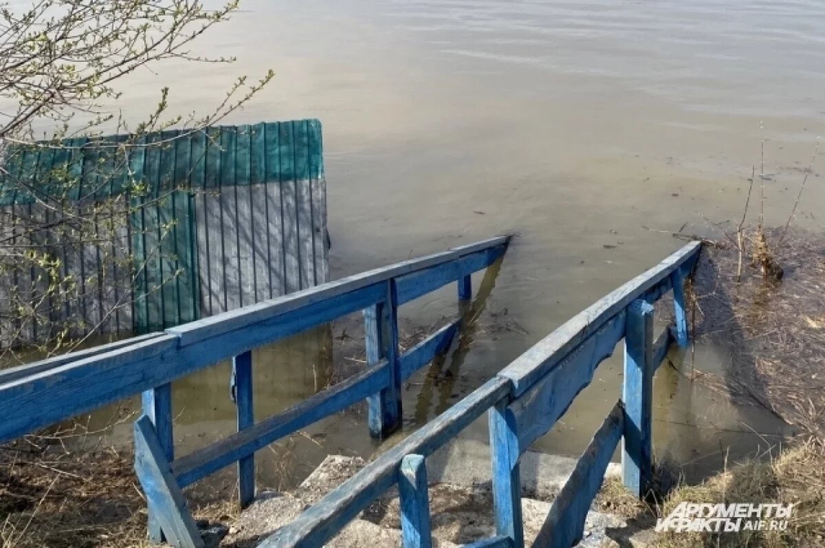    Следом за ней в воду бросились работники пожарно-спасательной части