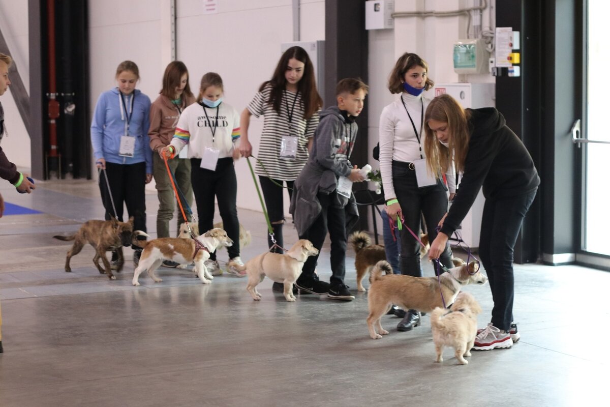 Фестиваль Ветер перемен