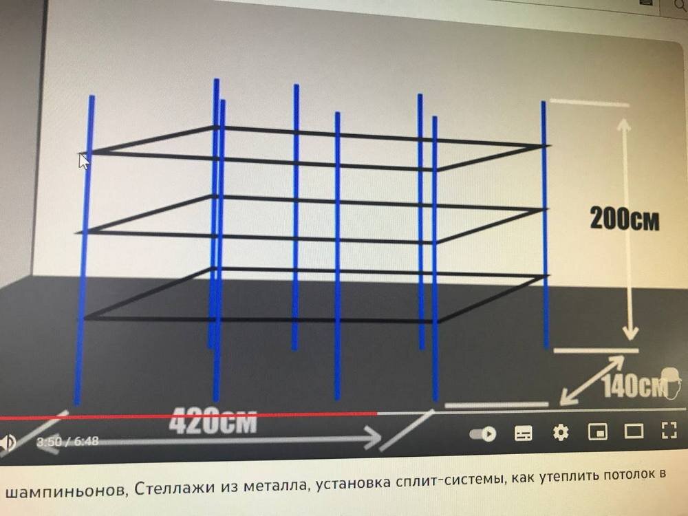   Так начинался проект грибной фермы. Фото Дмитрия Бахтина