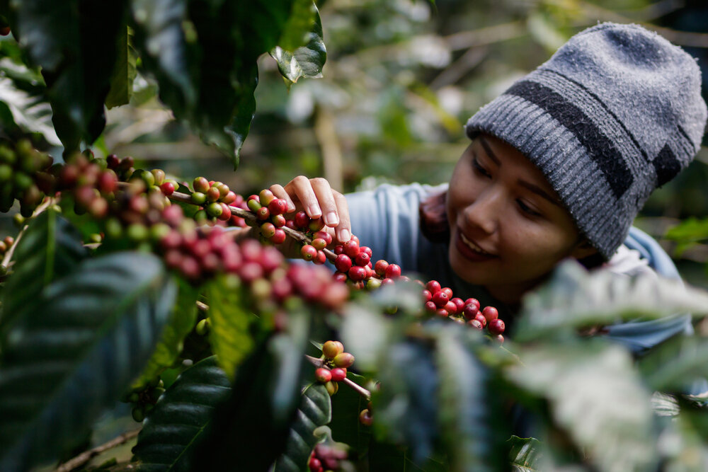    Фото: Shutterstock.com