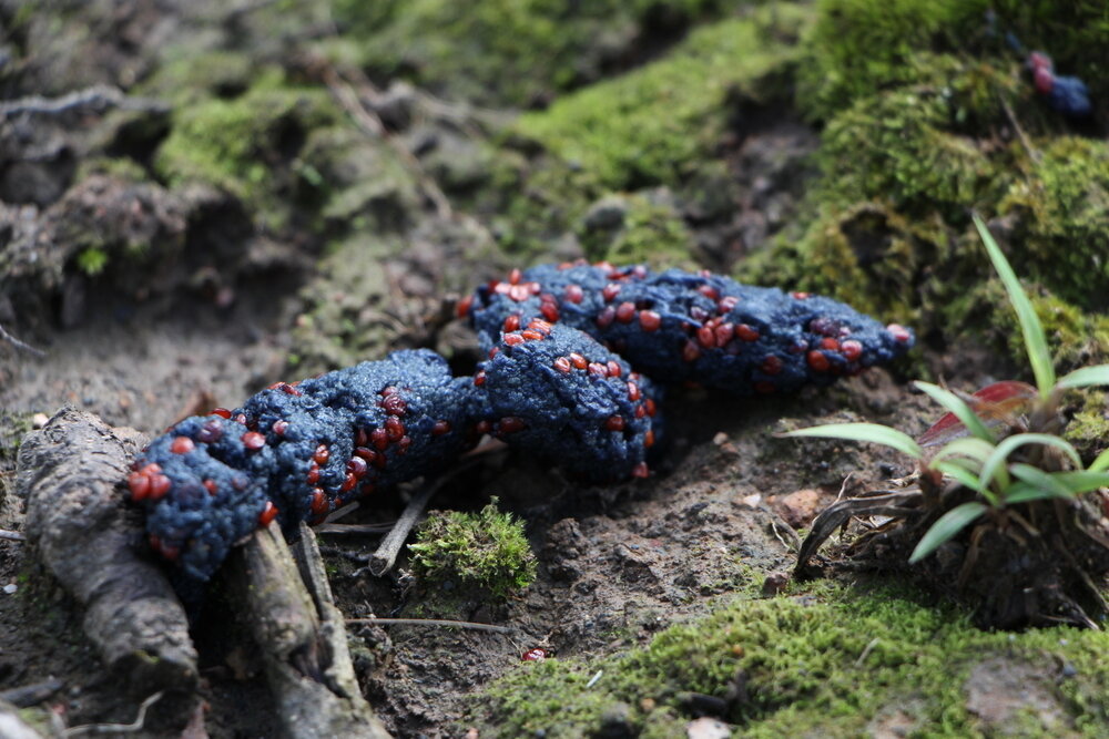    Фото: Shutterstock.com