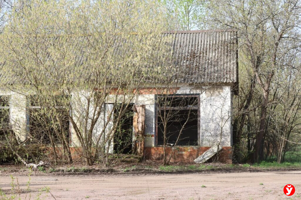 Пенсия живущим в чернобыльской зоне