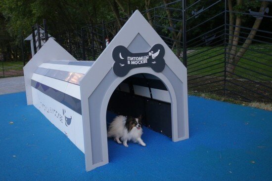    Фото: Олег Серебрянский