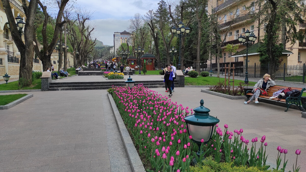 Клумбы цветут. Фото: Кирилл Полиенко/Polienko: путешествуем вдвоём
