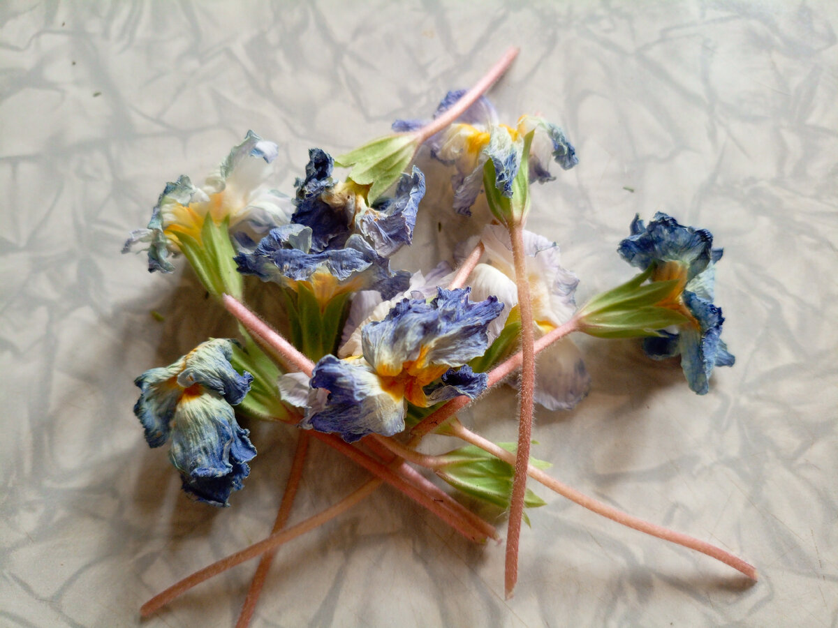 Не разрушаете себя изнутри недоверием...