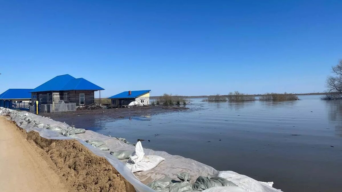 Кареглазова под водой: как выглядит тюменская деревня после прорыва дамбы |  nashgorod.ru | Дзен