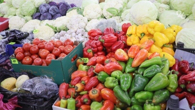      Фото: ИА «Победа26»