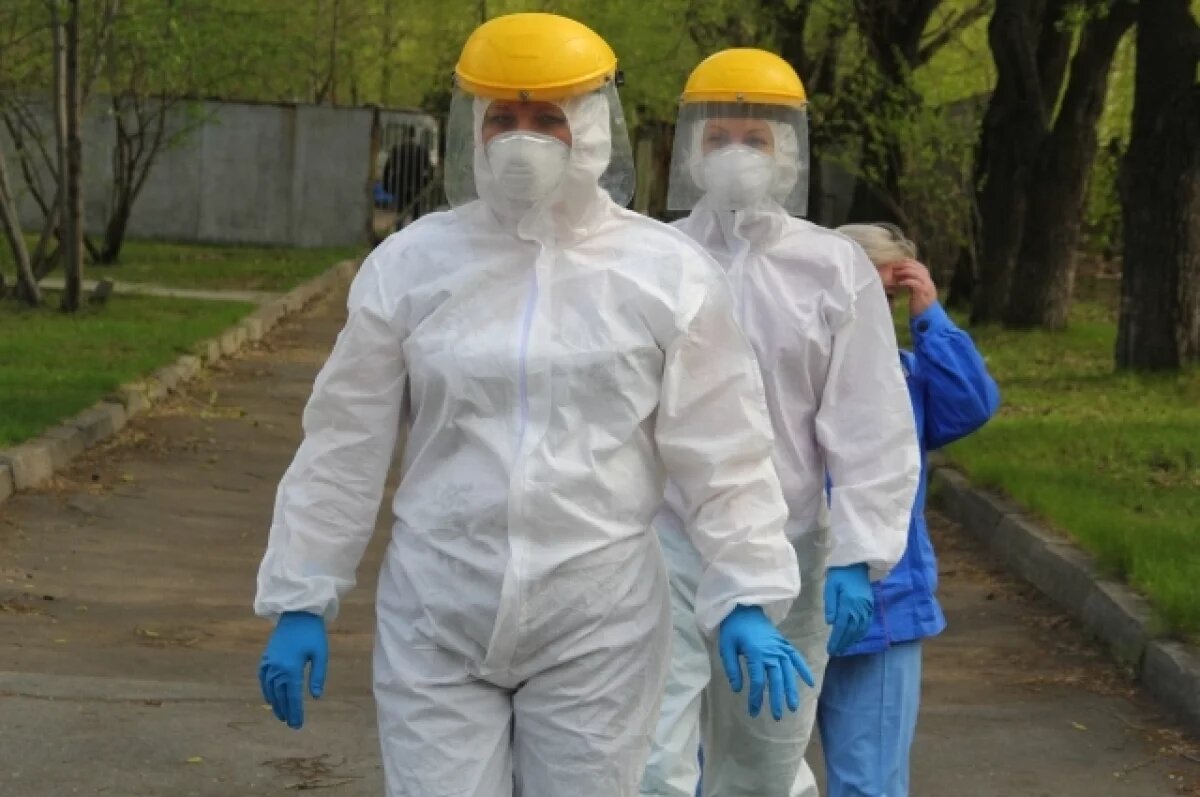    Лагерный сад в Томске обработают от клещей в ночь с 27 на 28 апреля