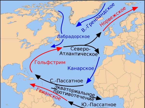 Глубоководные течения западной Атлантики исследуют ученые Института океанологии РАН