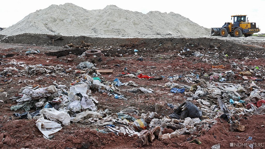 За пять лет реализации мусорной реформы ситуация с утилизацией отходов в России только ухудшилась.