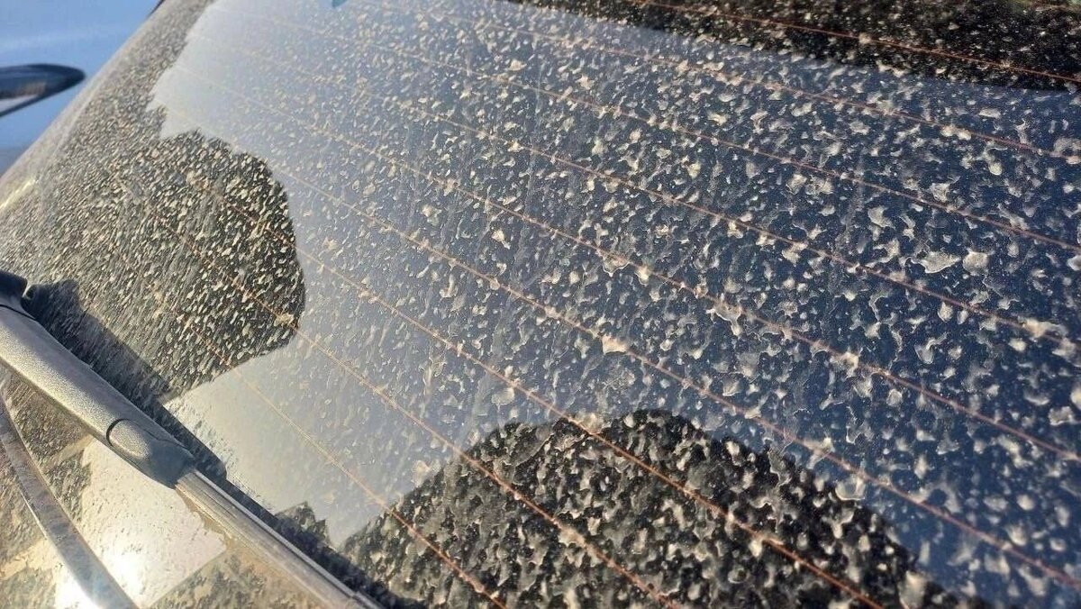 Фото высохших капель "грязного" дождя на авто. Из открытых источников.