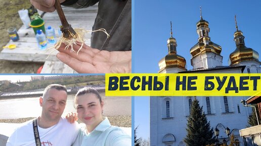 Сажаем виноград. Ездили в церковь. Лето за два дня. Интрервью. Из Германии в Россию