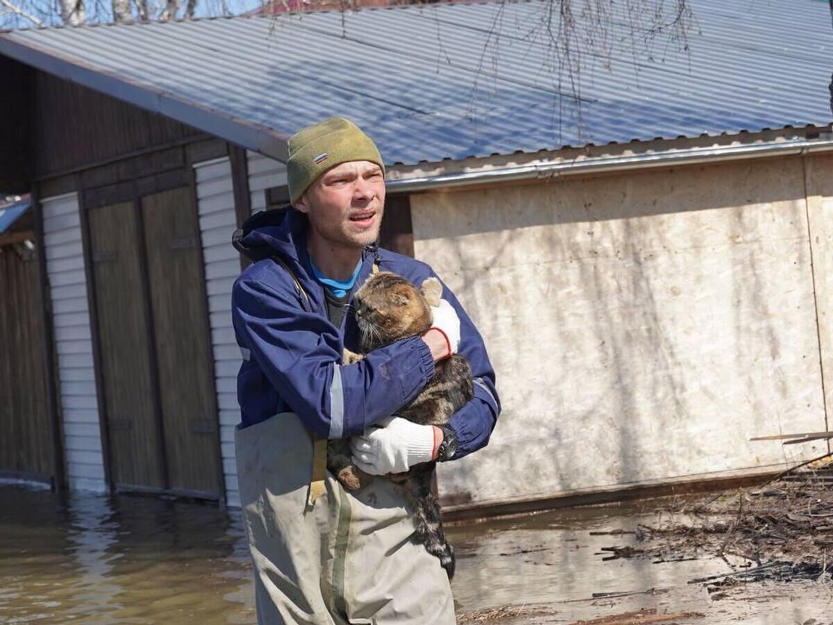   Сотрудник МЧС России спасает домашнее животное в Тюменской области© Фото : МЧС России/Telegram
