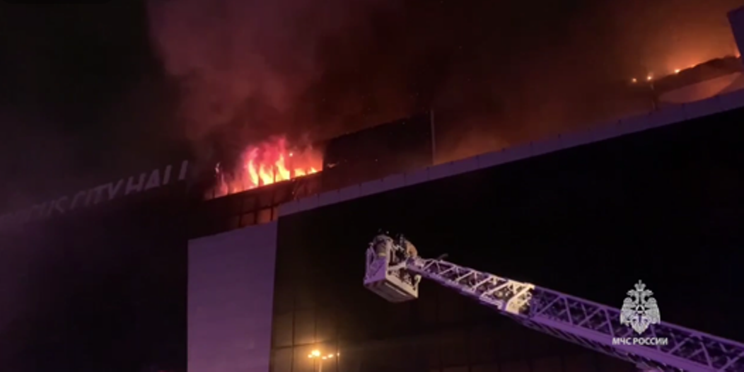 Крокус. Фото: скрин с видео 