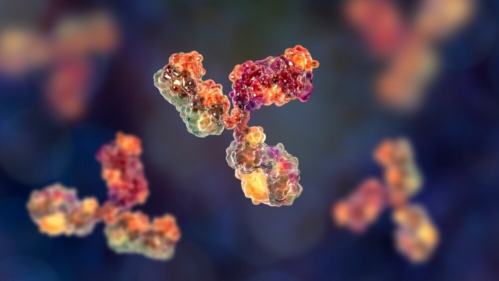    Фото: Shutterstock