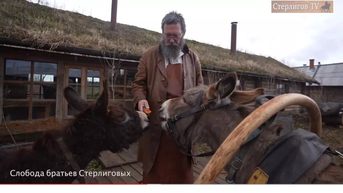 Православный миллиардер Стерлигов лишил наследства своих детей — «еретиков»  | НОВЫЕ ИЗВЕСТИЯ | Дзен