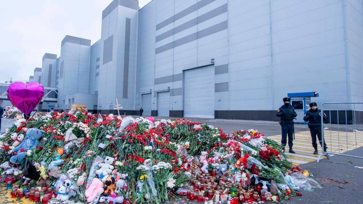 Фото: https://tvzvezda.ru/ (https://mcdn.tvzvezda.ru/storage/news_other_images/2024/04/08/809a090eeac34d139bef70055f512562.jpg)