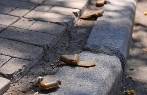    © РИА Новости