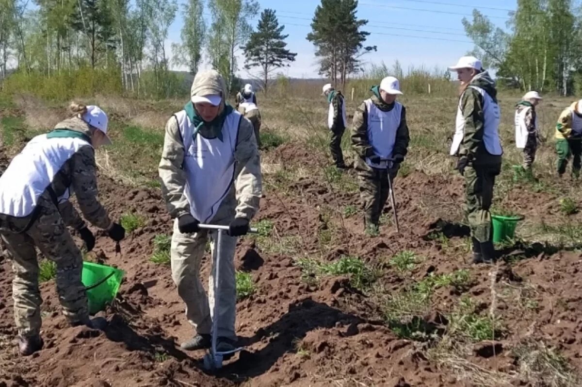    В Омской области высадили первый в 2024 году «Сад памяти»