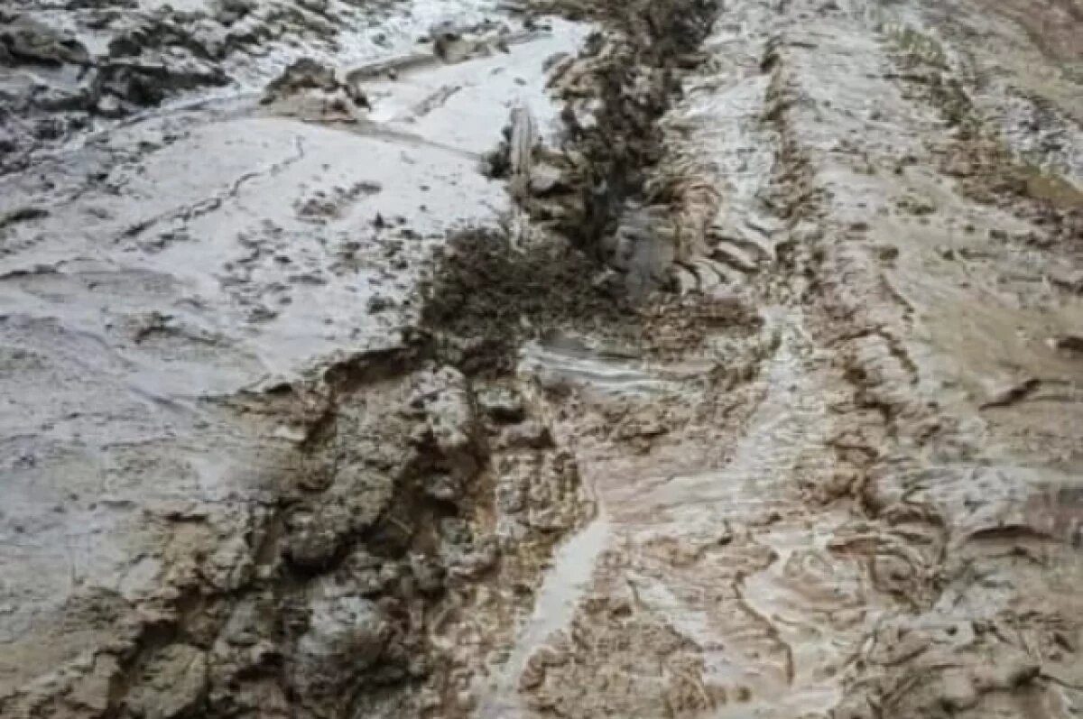    Жители деревни под Тверью жалуются на размытую от дождей дорогу