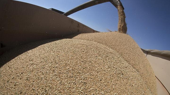 Фото: globallookpress.com/Nikolay Gyngazov